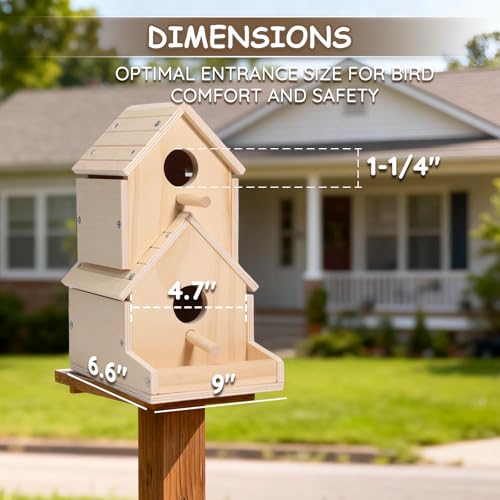 SainSmart Jr. Bird House 2-Story, Wooden Birdhouse Kids Woodworking Kit with Brushes and Paint - DIY Woodcraft Building Projects for Kids and Adults - STEM Teaching Tools, Ideal Gift for Boys & Girls