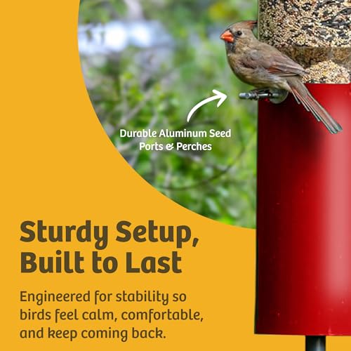 Birds Choice Classic Squirrel Proof Bird Feeder with Pole Mount | Tube Bird Feeder for Cardinals, Chickadees, Woodpeckers | Sturdy Steel for Long-Lasting Use | Backyard Bird Seed Dispenser | Green | Sturdy Steel Tube Seed Dispenser, for Cardinals, Chickad