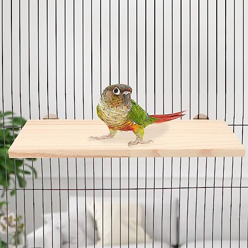 Wontee Bird Perch Stand Wooden Platform for Cockatiels Conures Rats Gerbils Chinchillas Squirrels (M) - size: M