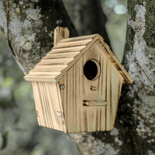 Bird Houses - Wooden Bird House for Outside with Pole - 1-1/2 Inch Entrance Hole for Bluebirds, Wrens, Chickadees, and Tree Swallows - Hanging Birdhouse for Garden