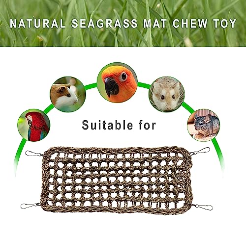 SIMENA Seagrass Mat for Birds, Natural Grass Woven Bird Net Hammock, Climbing Rope Ladder, Chew Toys for Parrots Lovebirds Cockatiels Conures Budgies, Cockatoos (Small)