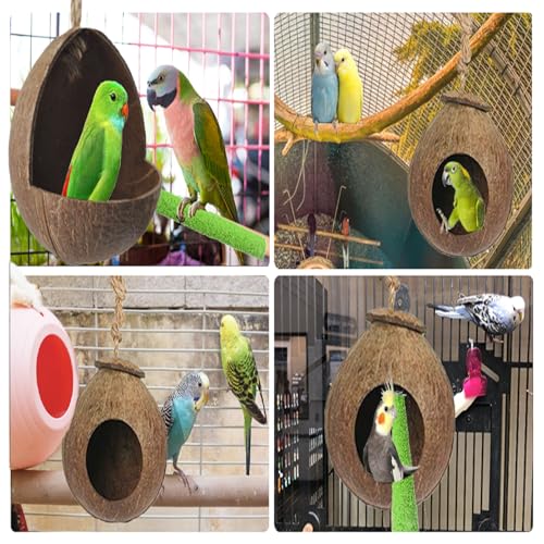 kathson Natural Coconut Shell Bird Nest,Hanging Coco Birds House,Parrots Hide Hut Habitats Decor,Parrot Cage Accessories for Lovebirds Cockatiel Canary Budgies,Feeder Spoon,4 Toy Balls(6 Pcs) - size: [M:9.8 x 5.1 x 5.1 lnches]