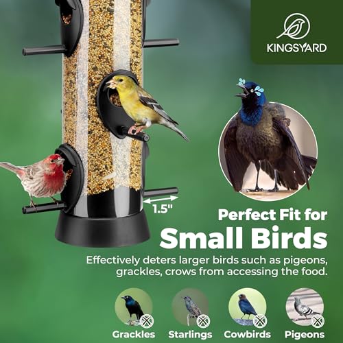 Kingsyard 2 Pack Tube Bird Feeders for Outdoors Hanging | 6-Port with 360° Feeding, No-Spill Design, 2 lb Seed Capacity, Attracts Finches & Songbirds, Garden & Backyard Decor, Black - color: Black