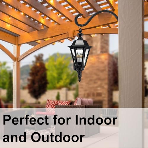 12 Inch Heavy Duty Plant Hanger Wall Hook 2 Pack - Black Iron Hanging Plant Bracket Holds 44 lbs - Rust Resistant Indoor Outdoor Hooks for Bird Feeders Lanterns Wind Chimes Hanging Baskets with Screws - size: 2 Pieces