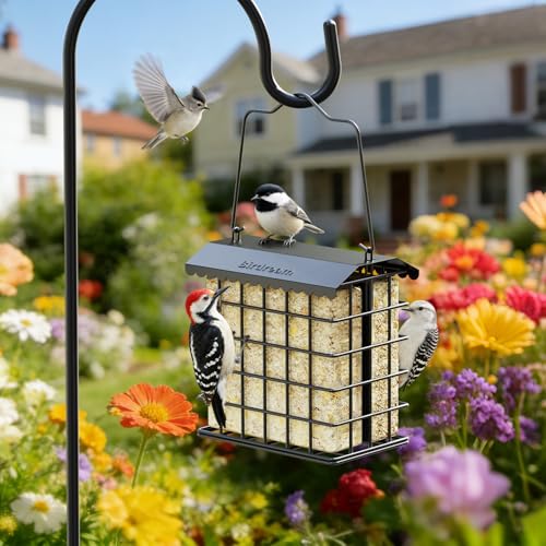 Birdream Double Suet Bird Feeders for Outdoors, All Metal Bird Suet Cakes Cage Holder with Weatherproof Roof, Easy to Refill & Clean, Attract Woodpeckers, Chickadees, Nuthatches, Black
