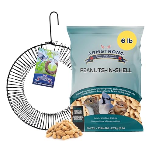 Armstrong Wild Bird Food Wreath-Shaped Peanut Feeder + 6 lb Peanuts-in-Shell Bundle – Durable Metal Hanging Coil Feeder with Nutritious Peanuts for Blue Jays, Squirrels, and Backyard Wildlife - style: Peanut Coil Bundle