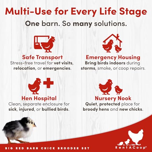 RentACoop Big Red Barn Chick Brooder Set with Heating Plate