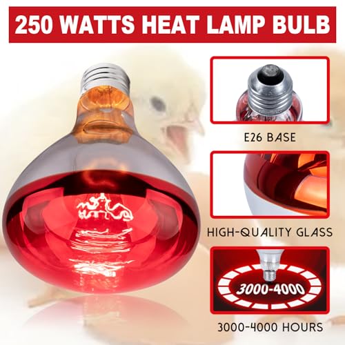 3 Pack 250W Heat Lamp Bulbs for Chicks, R40 Brooder Heat Lamp for Chickens, Infrared Reflector Heat Bulbs for Brooder Heater, Incandescent Heating Bulb for Pet, Bathroom, Food