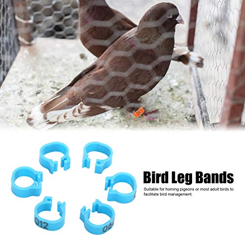 8mm Pigeon Leg Bands 0-100 Numbers Chicken Identification Leg Bands for Bantam Finch Dove Lovebird Coturnix Quail (Blue) - color: Blue