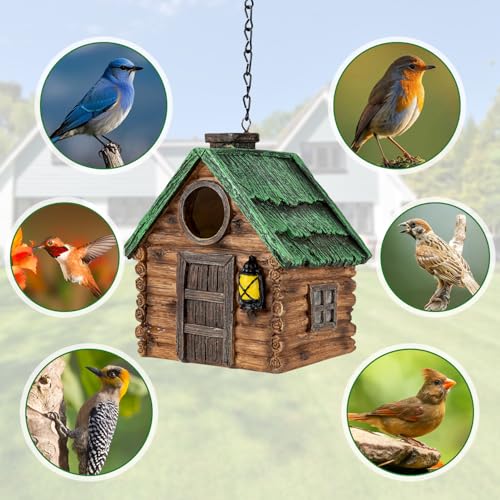 Bird House for Outside, Resin Bluebird House for Outdoors Finches, Cardinals and Yellow Finches Wild Bird Nesting, 5 Years Weatherable Decorative Stone Hanging Birdhouse for Yard Garden Decor