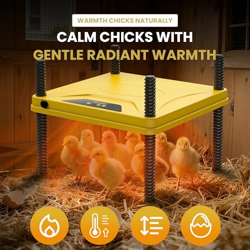 Chick Brooder Box and Heating Plate Starter Kit – Large Indoor Brooder Pen with 75W Adjustable Heat Plate, Feeder, Waterer & Cleaner – Complete All-in-One Chick Coop for 10-15 Chicks