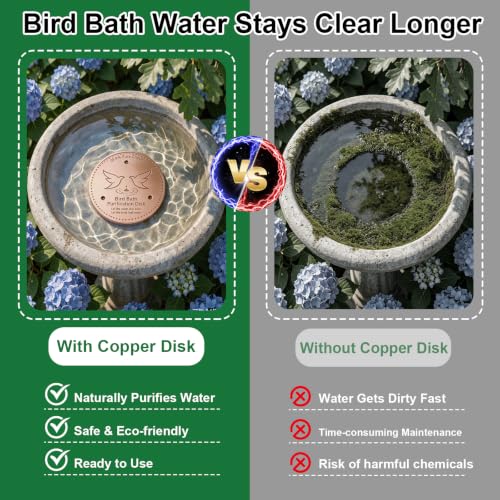 2 Pack Bird Bath Copper Discs, 99.9% Pure Copper Disk Cleaner with Triple-Point Support, Reinforced Design for Safe Clean Water, Universal Fit for Outdoor Birdbaths and Bowls, All-Season Use