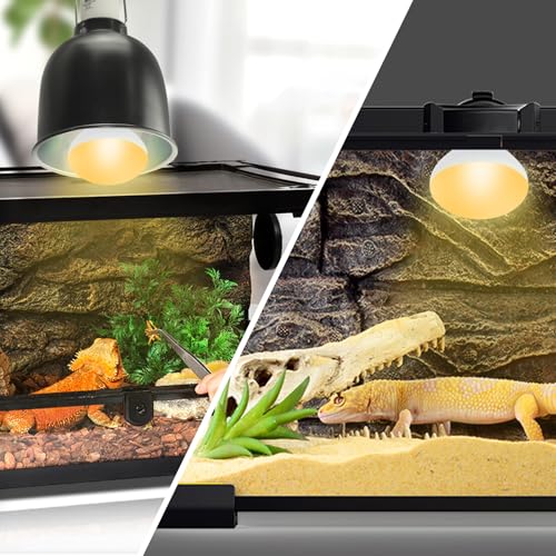 LUCKY HERP Heat Lamp Bulbs, 25W Reptile Heat Lamp 2 Pack Reptile Heat Lamp Bulbs, Daylight Basking Spot Heat Light Bulb, Amphibians Lamp Bulbs fo Chameleons, Snakes, Lizard, Turtle - color: 25-d