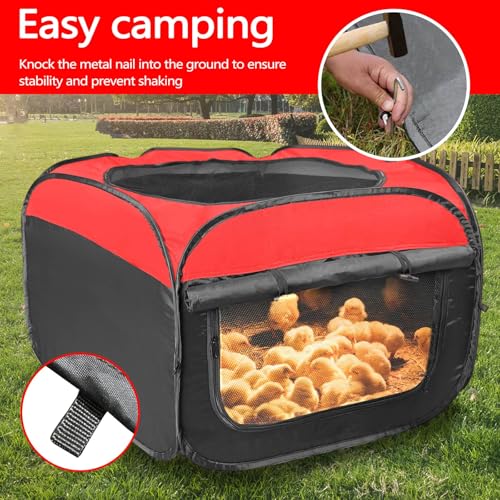 ASTIMESA Double Door Brooder Box for Chicks, Breathable Pop up Chicken Brooder, Foldable Large Chick Starter Kit, 45.1" x 19.9" Brooding Playpen/Tent Holds Up to 20 Duck Quail Gosling