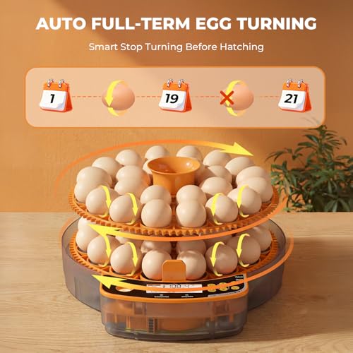 48 Egg Incubator - Incubators for Hatching Chicken Eggs with Egg Candler, Temperature & Humidity Control, Auto Egg Turner, and Abnormal Alarm - size: 48 Gggs