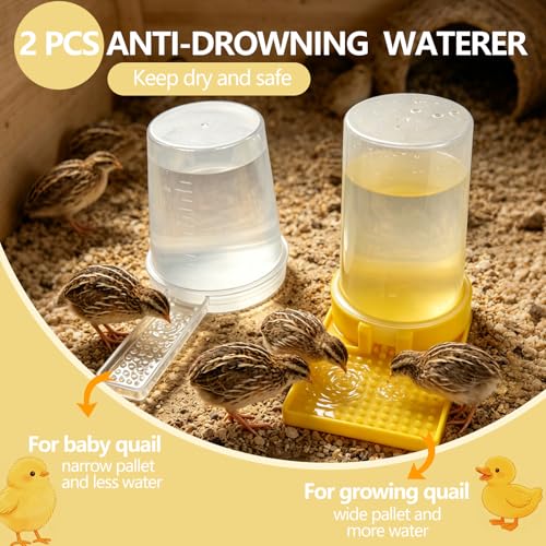 3 Pack 400ml Quail Water Feeder, Feeder Plastic Poultry Ideal for Button Quail, Baby Chicks, Ducks, and Baby Birds, Anti Drowning Design, Easy to Install