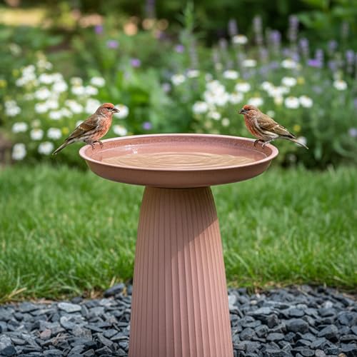 Sunnydaze Modern Bird Bath for Outside, Iron, 23” H, Matte Canyon Clay | UV & Rust-Resistant Matte Finish, Durable Iron,1 Gal Water Cap, Outdoor Birdbath for Garden, Pedestal Bird Bath with Bowl - color: Matte Canyon Clay