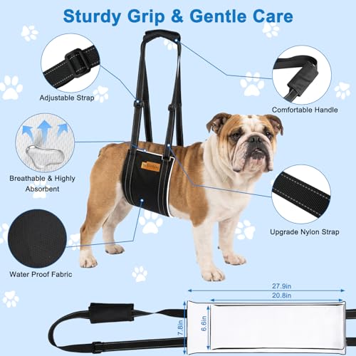 Vivifying Dog Lift Harness for Medium Dogs, Soft Bird's-Eye Cloth Hind Leg Support Sling, Adjustable Dog Lifting Harness for Weak Rear Legs, ACL Surgery Mobility Assist, M, White - size: M