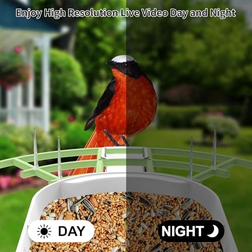 Bird Feeder with Camera,Smart AI Birds Breed Recognition,Birds Motion Detection with Real-Time Notice,Auto Capture Bird Watching WiFi Camera,Solar-Powered Outdoor Charging Bird House,Ideal Gifts,Green | Auto records FHD videos of birds in your backyard,In