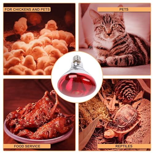 250W Red Heat Lamp Bulbs for Chicken,Infrared Flood Light Heat Lamp Bulb, Incandescent Light Heat Lamps for Chicks, Reptile, Pets, Par38 Glass E26 Base 2PCS - size: Par38 250W 2PCS