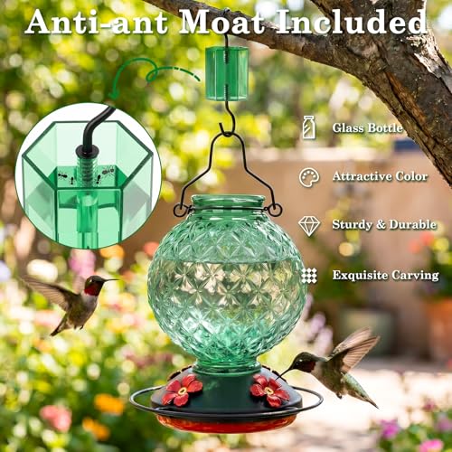 25 OZ Glass Hummingbird Feeder for Outdoors, Leak Proof Hummingbird Feeder with Ant Moat, 4 Bee Resistant Feeding Ports, Easy Clean Wide Mouth Design, Hanging Nectar Feeder, Green - color: Green - 25oz