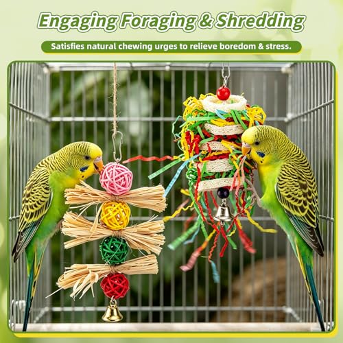 8 Pcs Natural Wood Bird Toys & Perches Set for Cages | Ideal for Small/Medium Parrots (Budgies, Conures) | Birch Ladder, Swing and Foraging Items for Cage Gym | Tool-Free Mount - size: Bird Toys & Perches Set