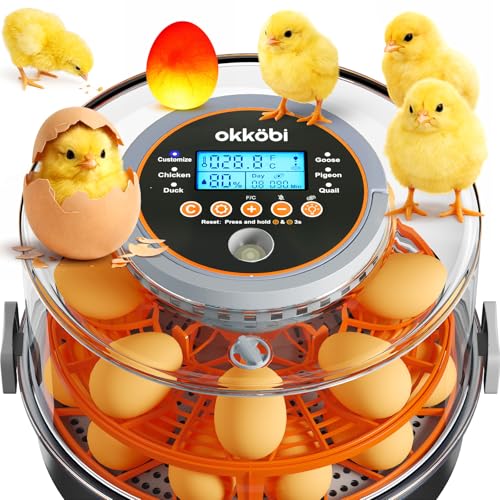 Egg Incubator with Automatic Egg Turning and Humidity Control – 12 or 20 Egg Incubator for Hatching Eggs – incubadora de huevos de gallina – Smart Temp Adjust – Candling Lamp
