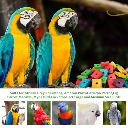 Sumind 80 Pieces Bird Toy Wooden Blocks Parrot Chewing Toys Mini Wood Chips Small Animals Cage Accessories for DIY Playing Chewing Shredding Mixed Large Bird Toys, Random Color - style: Wood Blocks