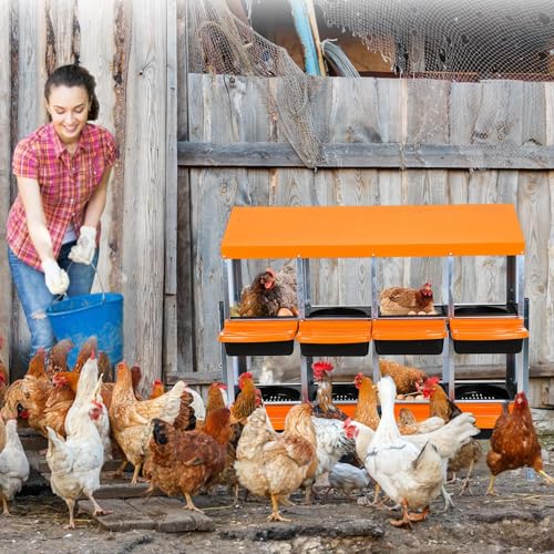 Chicken Nesting Box, 8 Compartment Roll Away Design for High-Volume Egg Collection and Easy Wall Mounting with Metal Legs - color: Orange, size: 8 holes with legs