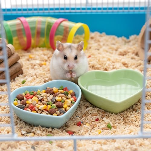 2 PCS Hamster Ceramic Food Bowl, Heart Hamsters Food Water Dish Anti-Turning, Ceramic Pet Bowls for Guinea Pig Gerbil Hedgehog Rat Rodent Bunny Parrots (Green, Blue)