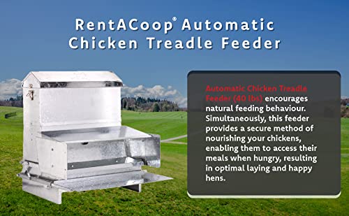 RentACoop 40lb Automatic Metal Treadle Feeder and 15lb Extension Bundle - 55lb Capacity Total