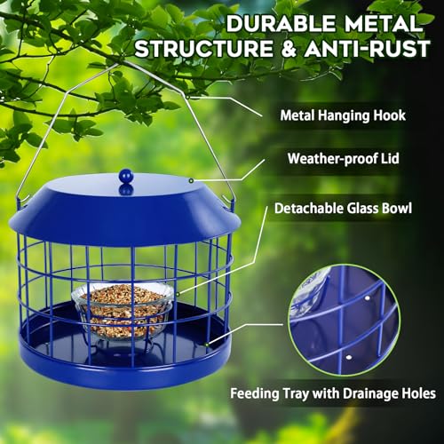 Gbekery Caged Bluebird Feeder for Mealworms with Glass Bowl, Squirrel Proof Bird Feeder for Small Birds Only, Detachable Hook, Large Space, Outdoors Weatherproof, Metal, Blue - style: Blue Glass Bowl