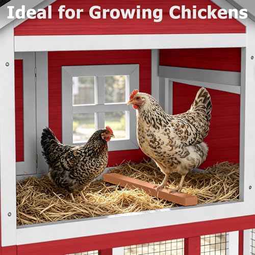 Chicken Coop with Run, Mobile Chicken Coop with Wheels for 4-6 Chickens, Large Outdoor Hen House with Nesting Box, Weatherproof Asphalt Roof, Pull-Out Tray for Small Animals in the Backyard - color: Red