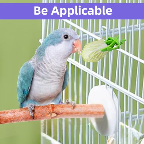 6Pcs Rat Enrichment Toys, Stainless Steel Rat Foraging Toy | Fruit Vegetable Holder, Bird Food Holder, Hanging Slow Feeder Clip, for Parrot Bird Rodents
