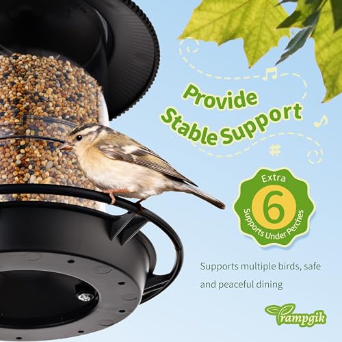 Outdoor Bird Feeder, Retractable Bird Feeder Hanging, Metal Hanger, Rainproof & Leak-Proof, Black, Pack of 2 - color: Black, Retractable Hanging，Pack of 2