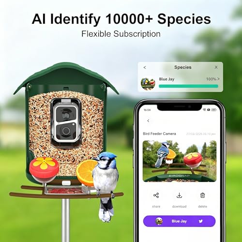 birdsnap® PAV Bird Feeder with Camera Solar Powered 2K Live Video 32GB Card | AI Bird Species Identification, Instant Arrival Alerts, IP65 Waterproof, Wild Bird Feeders for Outdoors, Gift for Bird Lovers - color: Dark Green
