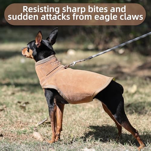 Dog Protection Vest - The Surface Layer of Genuine Leather (S, Brown) | Dog Protection Ves Tough and Wear-Resistant, Protection Against Attacks by Coyotes, Hawks, Raptors, and Birds of Prey - size: S