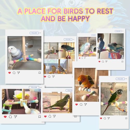 Birds Toy, 360° Interactive Rotating Bird Perch, Wooden Rotating Stand Toy, Bird Cage Accessories for Small & Medium Parrots, Parakeets, Cockatiels, Lovebirds, Budgies - color: Brown