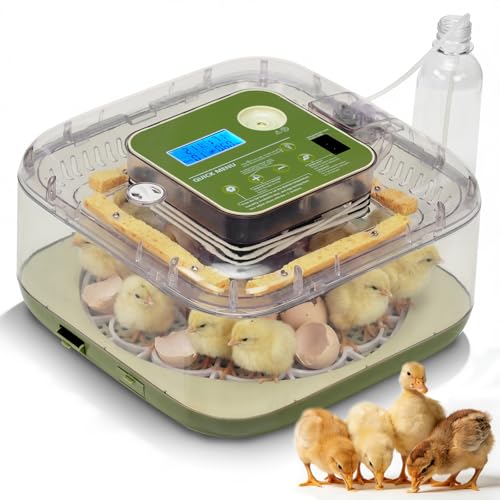 Winado 12 Egg Incubator with Temperature & Humidity Control | Automatic Egg Turning, Egg Candler, Automatic Water Filling, Day Counter