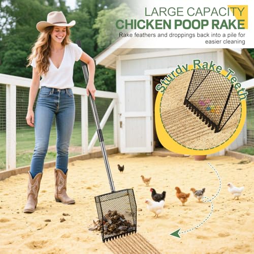 Updated Chicken Poop Scooper and Rake, 2-in-1 Chicken Poop Litter Scoop Sand Rake, Stainless Steel Handle (43–73"), Litter Scooper & Sand Sifting Shovel, Good for Chicken Coops & Farm Animals Scoop