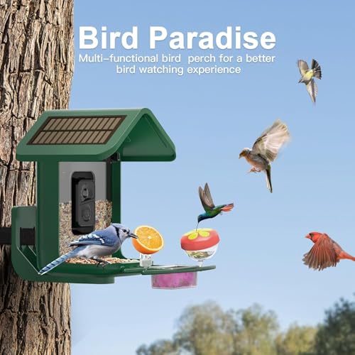 Bird Feeder with Camera Solar Powered : Smart Camera Bird Feeder 2K Live Feed Cam for Backyard - AI Identify Auto Capture Videos Pictures, Gifts for Birdlover Mom Dad, 2.4GHz WiFi - color: Green