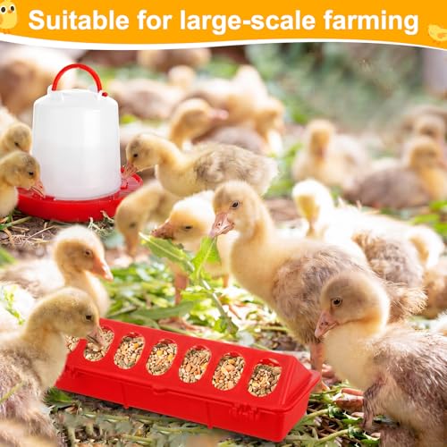 Funnymoom 12 Pack Chicken Feeder and Waterer Set Bird Small Poultry Feeder Flip Top Bird Small Poultry Feeding for Pigeon Chick Drinker Duckling Quail Feeding Dispenser (Red,8 Holes) - color: Red, style: 8 Holes