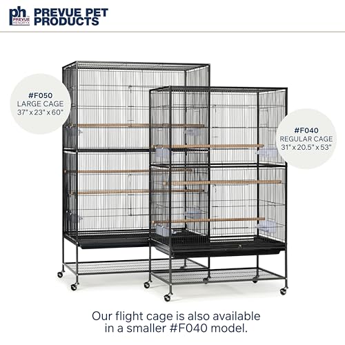 Prevue Hendryx Pet Products Wrought Iron Flight Cage - Big Rolling Bird Cage for Parakeets, Cockatiels, Conures, Lovebirds, Canaries, Finches, Parrotlets, & Caiques, 5 Ft - X-Large, Hammertone Black - color: Black, size: 37.0"L x 23.0"W x 60.0"H
