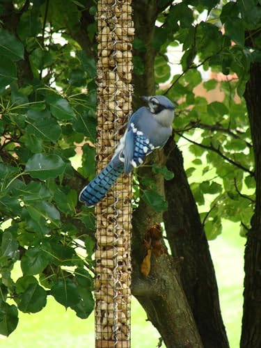 Backyard Birds Unlimited Cedar Whole in-Shell Peanut Outdoor Hanging Wild Bird Feeder Made in the USA-Medium 32" Inch - size: Medium