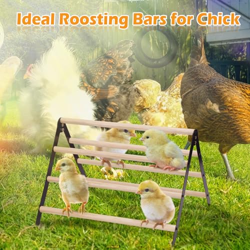 16.5" Lx13.4 Wx9.8 H Large Metal Stable Chick Perch - Wooden Baby Chicks Roosting Bars, Easy to Assemble & Clean Stand Ladder Fun Toys for Coop Accessories