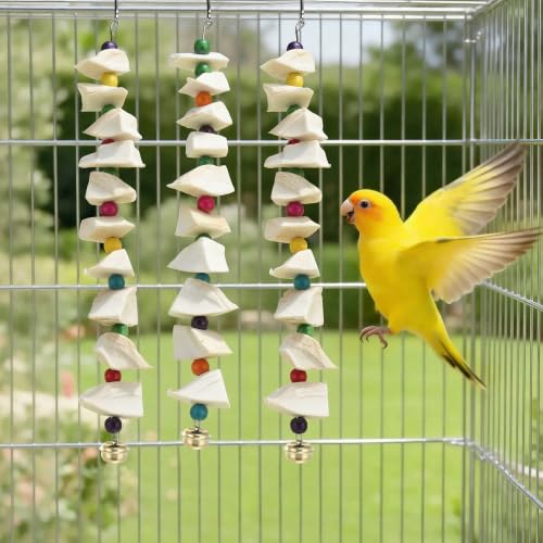 Bird Toys with Cuttlebone, Grinding Stone for Bird, 3 Pcs | Prevents Destructive Chewing, White, Colorful