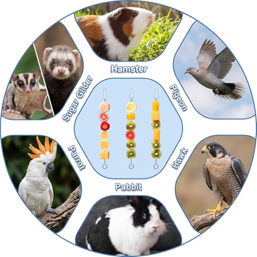 3Pcs Bird Food Holder Cage Food Holder Stainless Steel Small Animal Bird FoodTreats Skewer Hanging Vegetable Fruit Feeder Feed Treating Tool Parrots Cockatoo Cockatiel (Silver)
