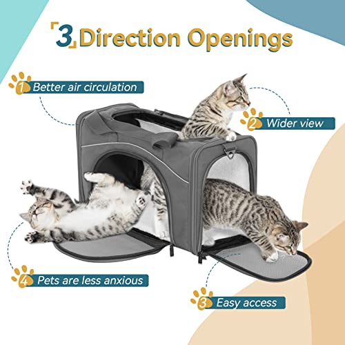‌Petsfit Airline Approved Pet Carrier for Small Dogs & Cats, 19x9x12 TSA Approved Carrier, with Removable Dual-Sided Padding (2-Way Placement) - Fits Under Most Airplane Seats, Escape Proof (Grey) - color: Grey, size: 19.0"L x 9.5"W x 12.0"H
