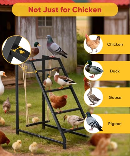 Chicken Perch Swing with Ladder for Coop, Metal Frame Chicken Roosting Bars for 8-10 Hens, Pet Swing Set for Backyard Poultry Farm Roost, Ideal for Chickens' Health and Happiness, Black