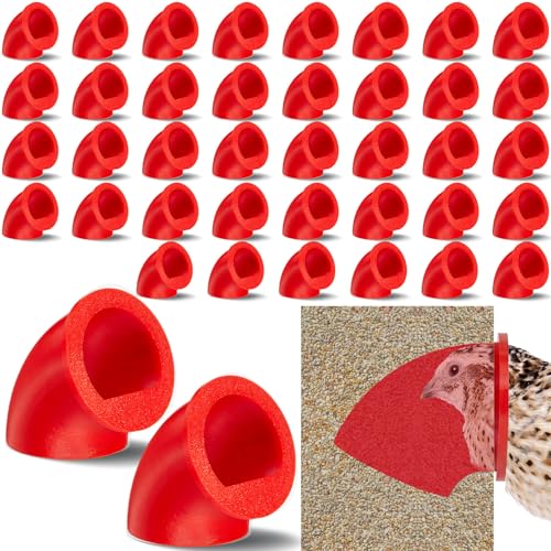 Teenyyou 20 Pack Quail Feeders No Waste Chicken Feeder Port DIY Chick Feed Saver Quail Supplies for Coturnix Small Poultry Farm Bucket Bin Container (1.5 Inch,Red) - color: Red, size: 1.5 Inch